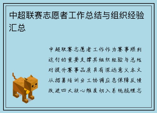 中超联赛志愿者工作总结与组织经验汇总